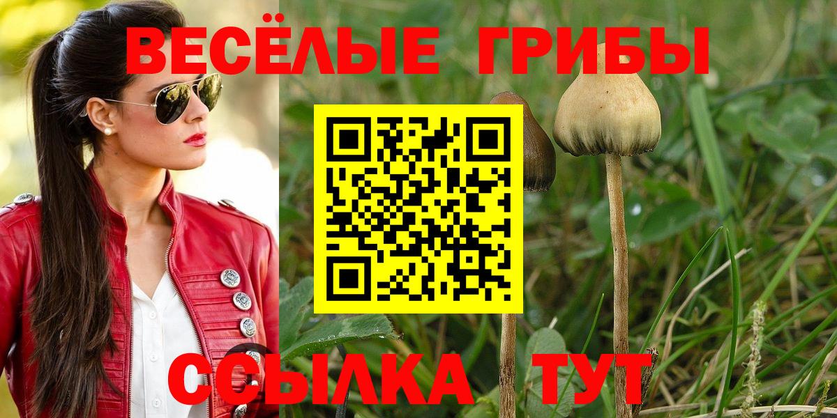 Галлюциногенные грибы мухоморы Лабинск